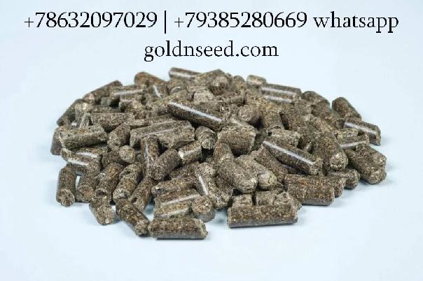 Шрот подсолнечный и соевый оптом - ГК Юг Руси