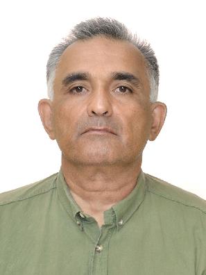 Курс делового английского языка