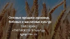 ООО Агропром - оптовая реализация продуктов питания экспорт ООО Агропром - оптовая реализация продуктов питания экспорт